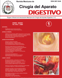 Ima Revista AMCAD 2020 Vol. 9 No. 1