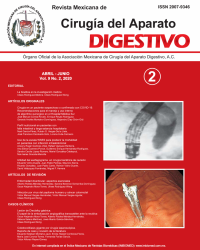 Ima Revista AMCAD 2020 Vol. 9 No. 2