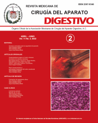 Ima Revista AMCAD 2022 Vol. 11 No. 2