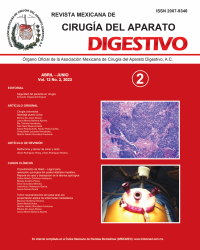 Ima Revista AMCAD 2023 Vol. 12 No. 2
