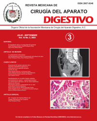 Ima Revista AMCAD 2023 Vol. 12 No. 3