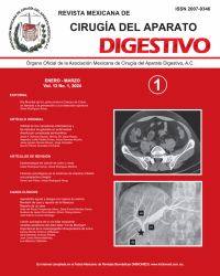 Ima Revista AMCAD 2024 Vol. 13 No. 1