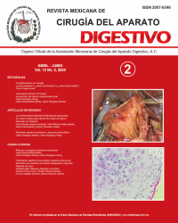 Ima Revista AMCAD 2024 Vol. 13 No. 2