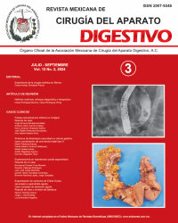 Ima Revista AMCAD 2024 Vol. 13 No. 3