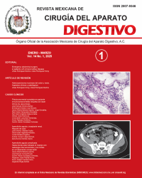 Ima Revista AMCAD 2025 Vol. 14 No. 1