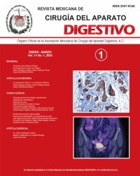 ImaRevista AMCAD 2022 Vol. 11 No. 1